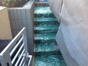 IMG_1548