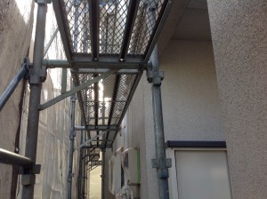 IMG_1573